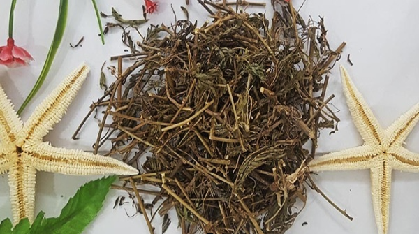 Re-hoa-trinh-nu-giup-ho-tro-giac-ngu-sau