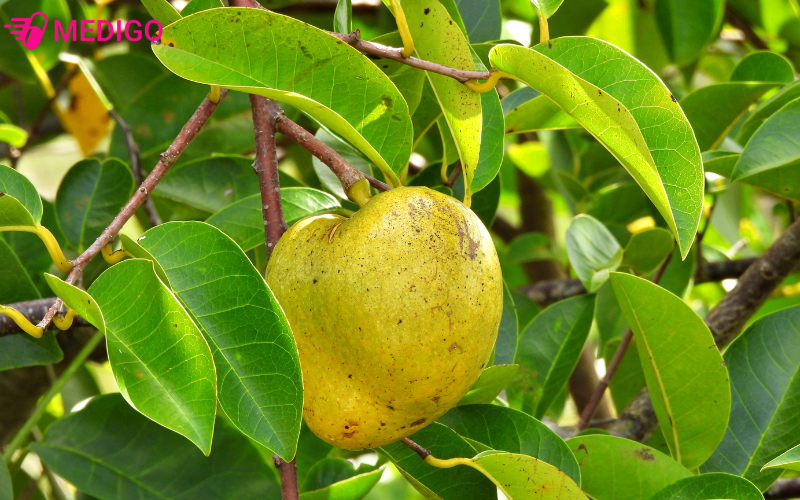 Su-dung-binh-bat-khong-dung-cach-co-the-se-gay-hai-cho-suc-khoe