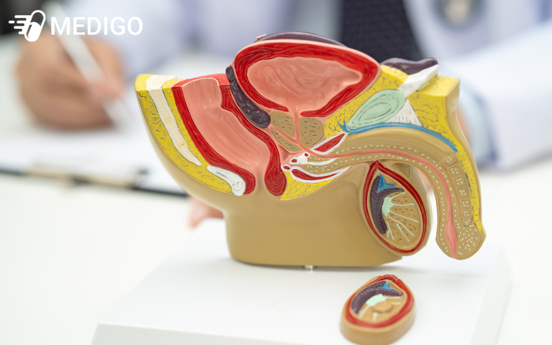 Tac-dong-den-he-sinh-duc-o-duc-cua-bo-ket-tay