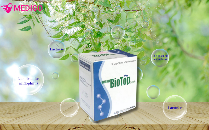 Thanh-phan-ho-tro-he-tieu-hoa-co-trong-Hankook-BioTop-Capsule