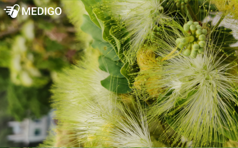 Thanh-phan-tu-nhien-co-trong-cay