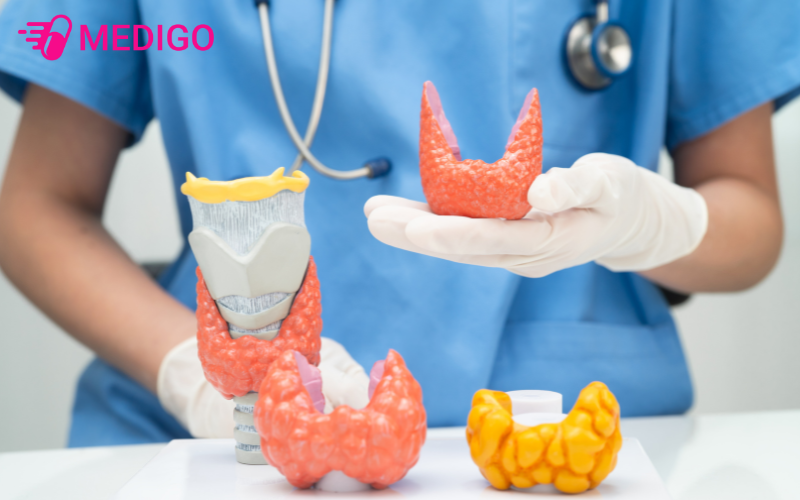 Tuyen-giap-co-cau-tao-giong-hinh-con-buom