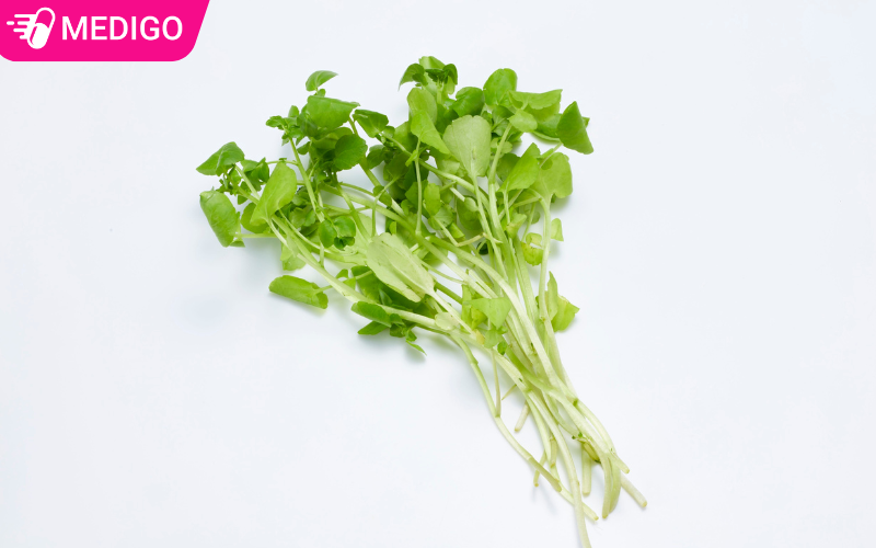 Cay-cai-xoong-can-co-than-dai-tu-20-40cm