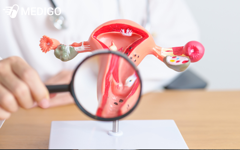 Vac-xin-HPV-giup-phong-ngua-ung-thu-co-tu-cung