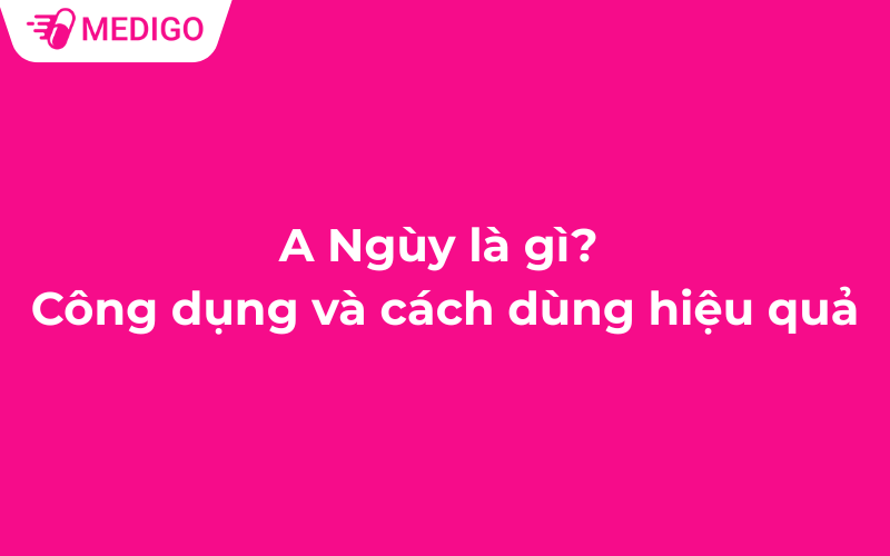 A Ngùy là gì? Công dụng và cách dùng hiệu quả