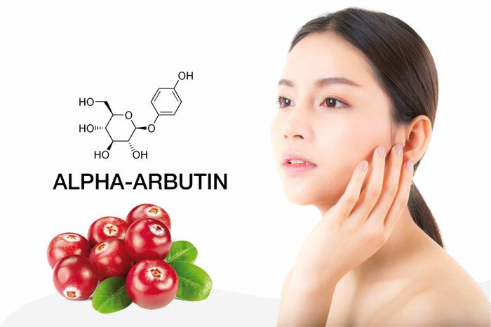 Alpha Arbutin là gì? Tác dụng của Alpha Arbutin đối với làn da