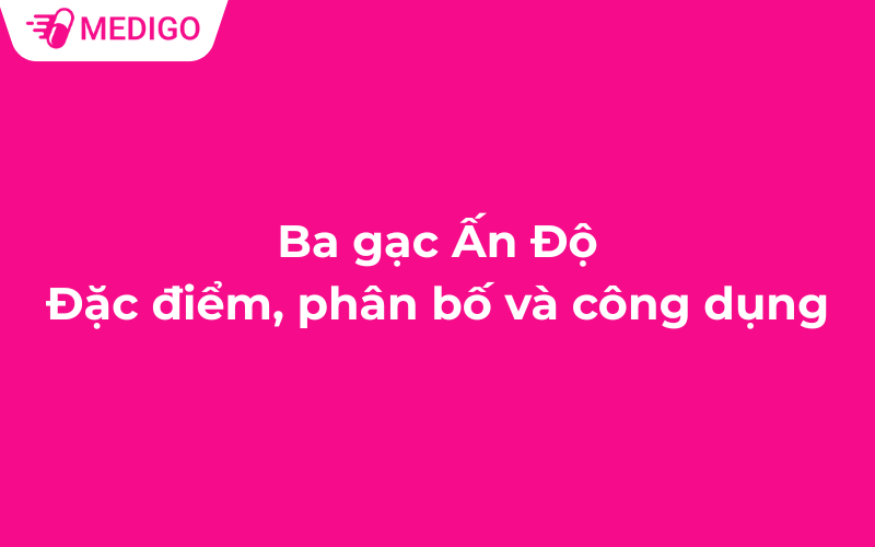 Ba gạc Ấn Độ: Đặc điểm, phân bố và công dụng của dược liệu