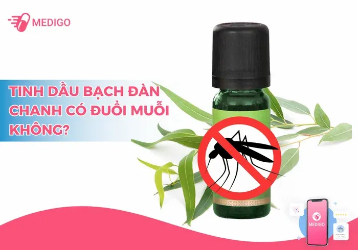 Bạch đàn chanh có giúp đuổi muỗi không? 