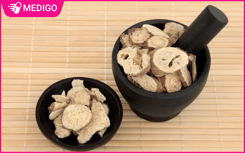 Bạch truật: Đặc điểm, công dụng và lưu ý khi sử dụng