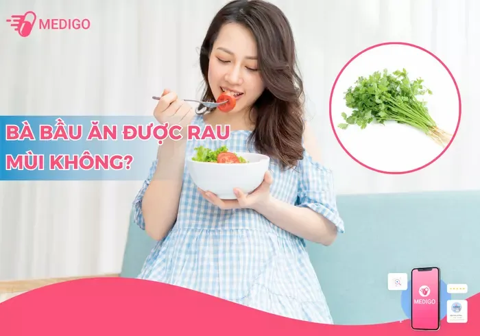 Bầu ăn được rau mùi không? Những lưu ý khi bà bầu ăn rau mùi