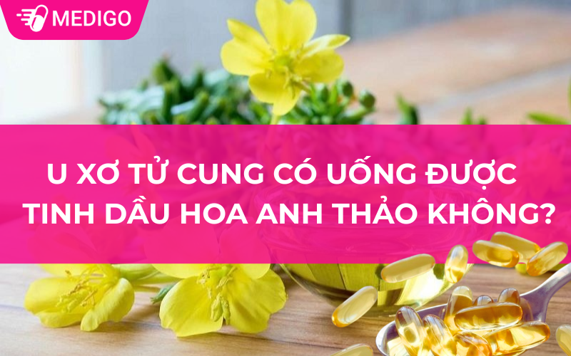 Bị u xơ có uống được tinh dầu hoa anh thảo không?