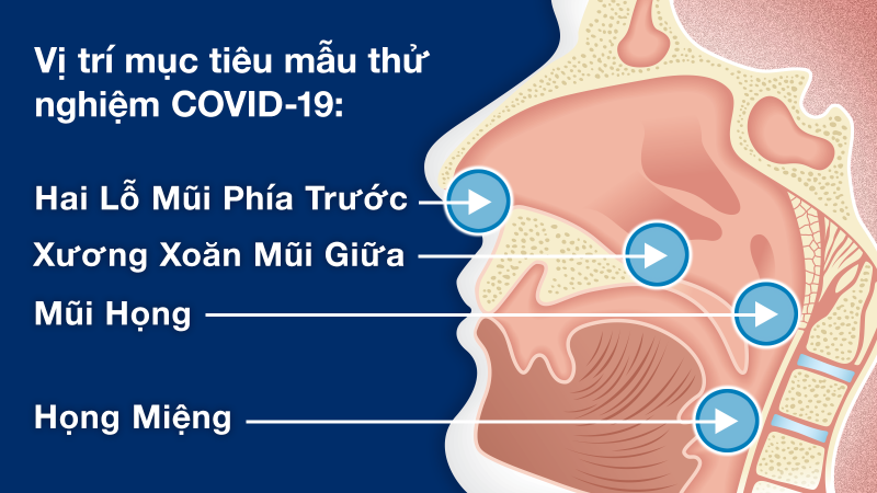 cac-loai-mau-xet-nghiem-covid-19.png