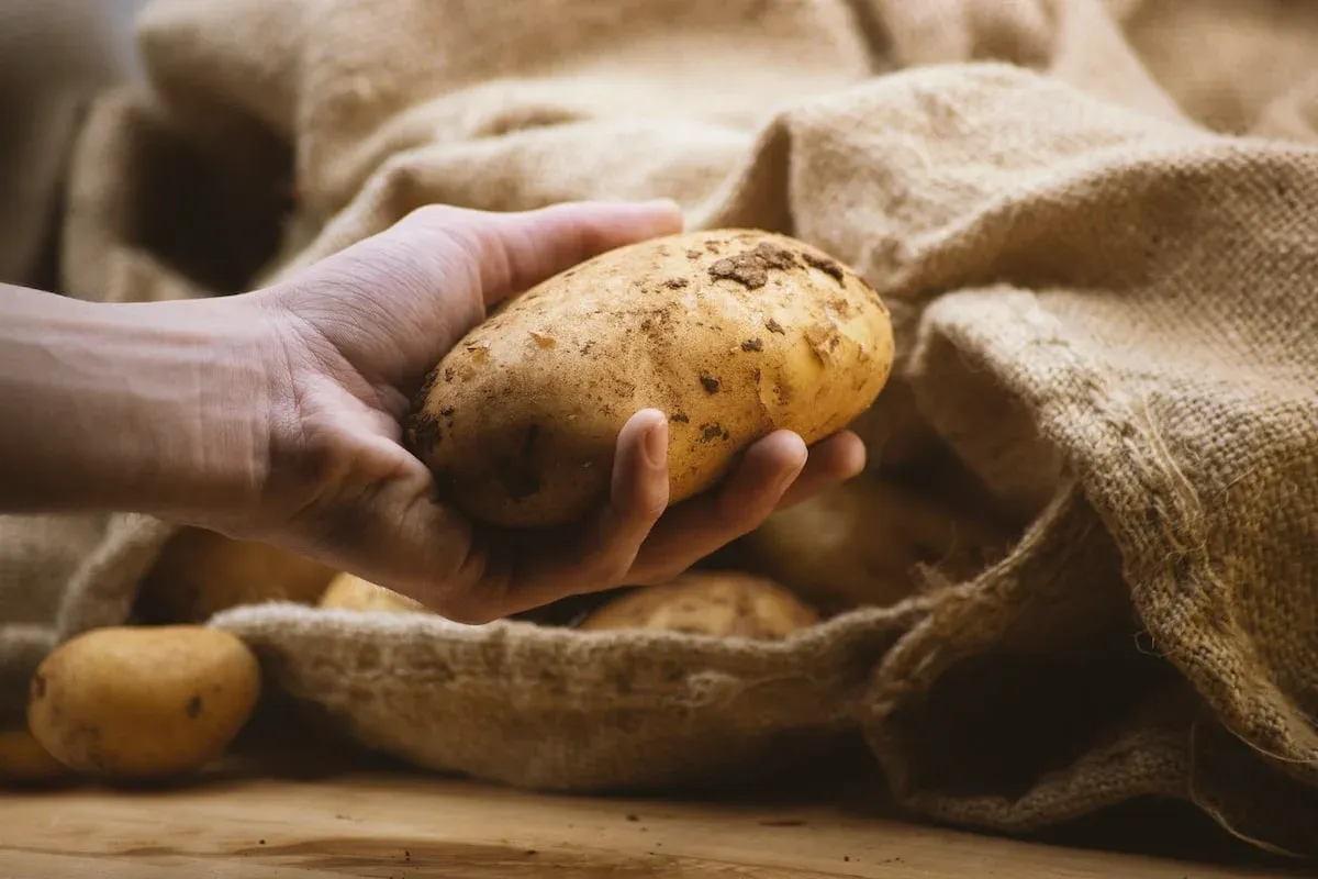 cách bảo quản khoai tây