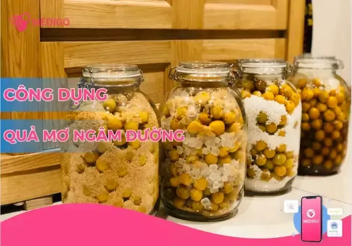Quả mơ ngâm đường có tác dụng gì? Hướng dẫn cách làm