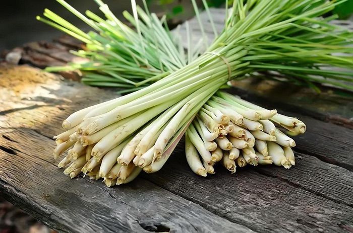 cách làm tinh dầu sả
