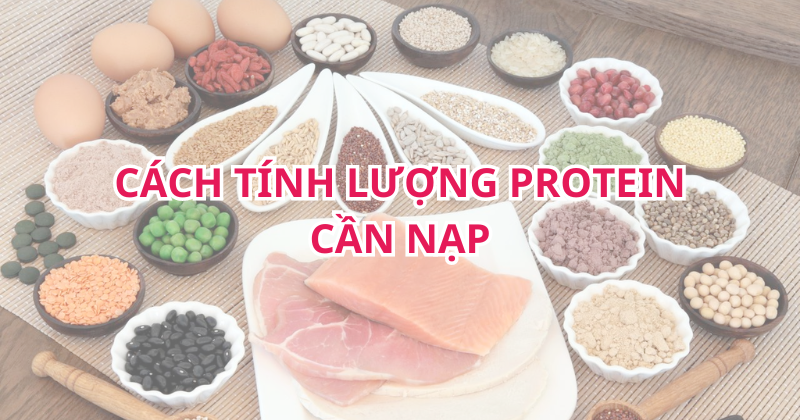 Hướng dẫn cách tính lượng Protein cần nạp 