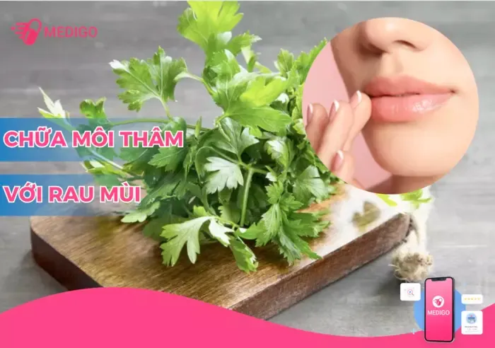 Hướng dẫn cách chữa môi thâm bằng rau mùi đơn giản