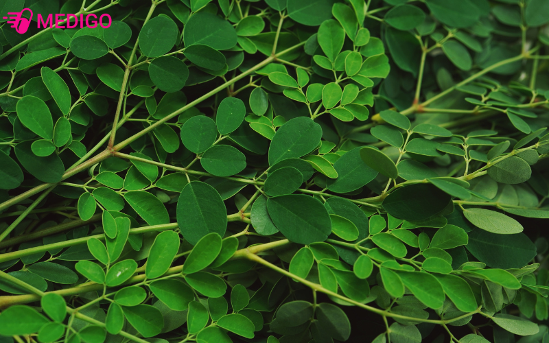 chum-ngay-giup-ho-tro-tieu-hoa-chong-viem-lam-dep-da-toc-phong-benh-va-giu-voc-dang