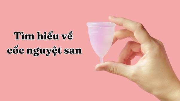 Cốc nguyệt san là gì? Có nên thay thế băng vệ sinh bằng cốc nguyệt san? Hướng dẫn cách sử dụng cốc nguyệt san đơn giản