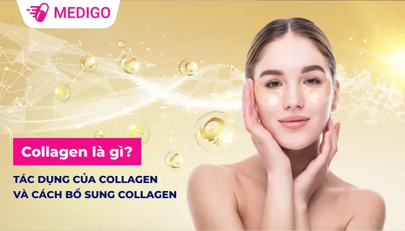 Collagen là gì? Tác dụng của collagen và cách bổ sung collagen