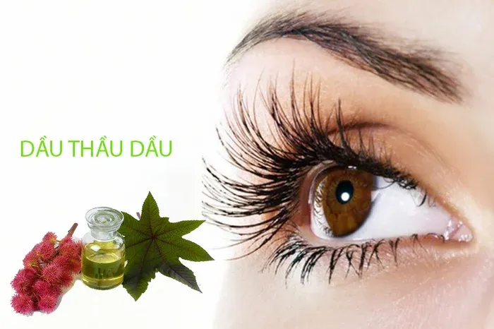 Bí quyết dưỡng mi đẹp từ dầu thầu dầu tại nhà 