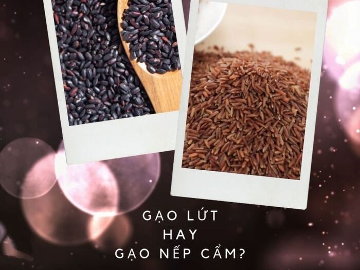 gạo nếp cẩm và gạo lứt cái nào ngon