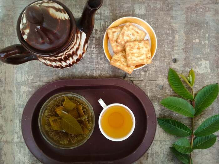 lá ổi giảm cân