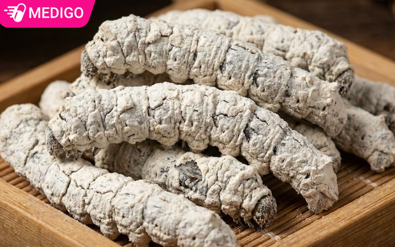 hinh-anh-minh-hoa-bach-cuong-tam