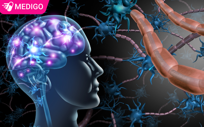 hoat-huyet-bo-nao-la-cac-tang-cuong-luu-thong-mau-len-nao-va-boi-bo-cac-te-bao-than-kinh