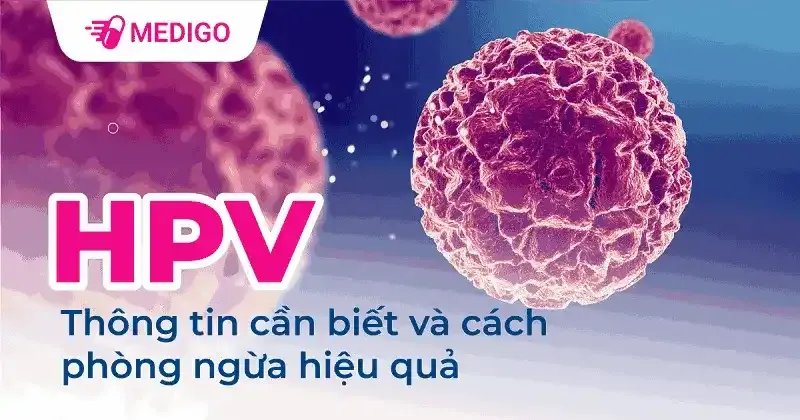 12 type HPV nguy cơ cao là gì? Nguyên nhân và phòng 