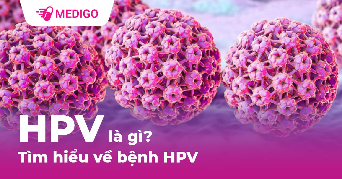 HPV là gì? Nguyên nhân và dấu hiệu chẩn đoán