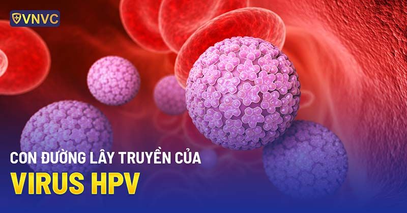 Giải đáp: Virus HPV lây qua con đường nào?