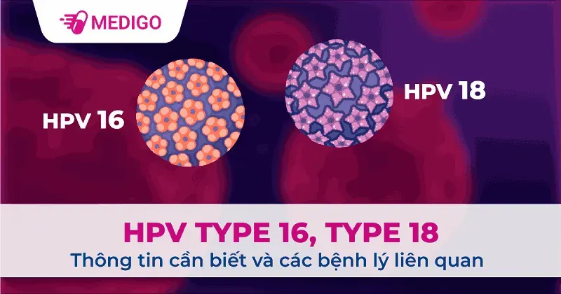HPV type 16, type 18: Thông tin cần biết và các bệnh lý liên quan