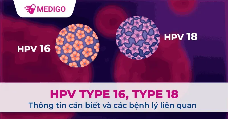 hpv type 16, 18