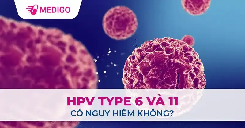 HPV type 6 và 11 có nguy hiểm không? Nguyên nhân và cách phòng ngừa