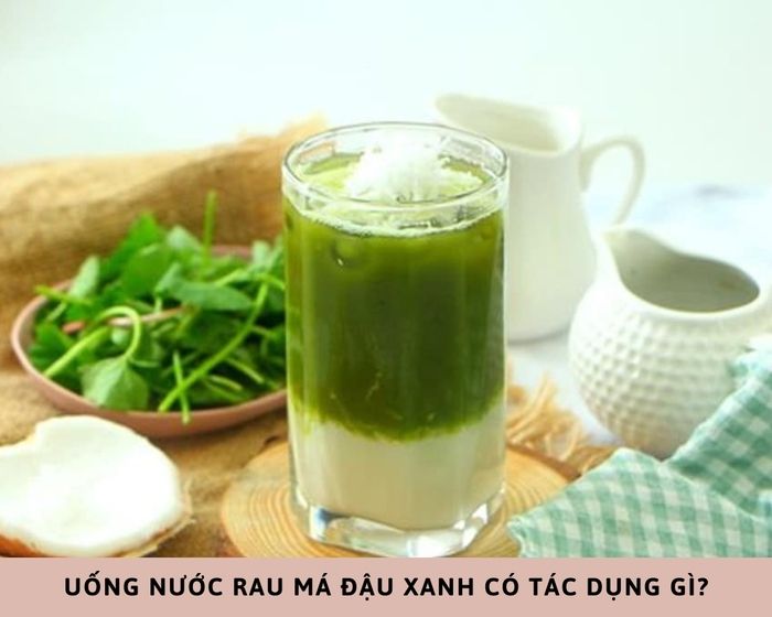 rau má đậu xanh tốt không