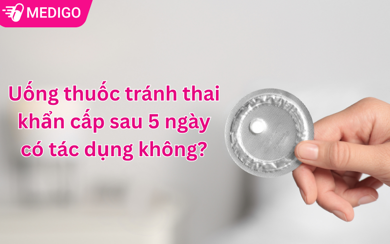 Co-che-hoat-dong-cua-thuoc-tranh-thai-khan-cap