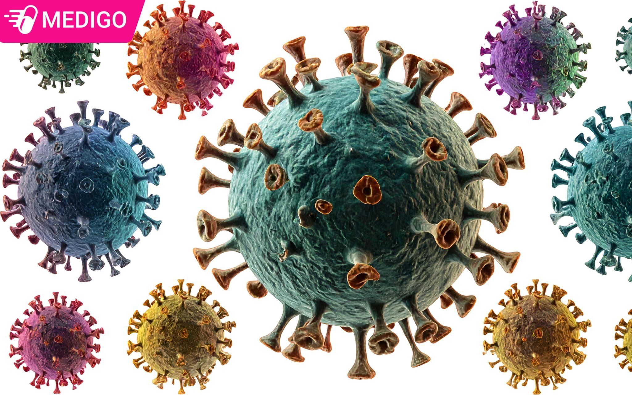 Thong-tin-ve-virus-Nipah