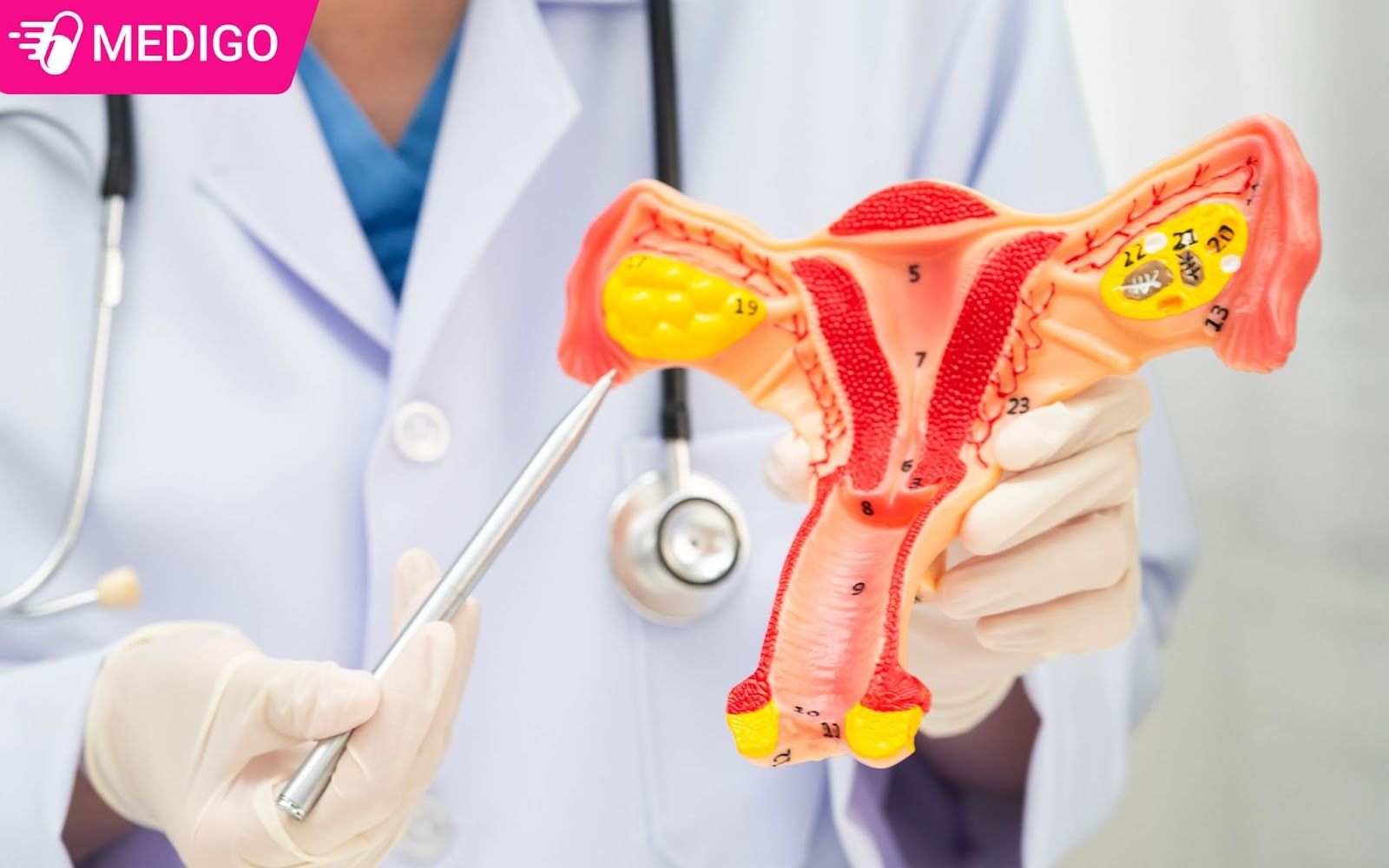 Cac-benh-phu-khoa-thuong-gap