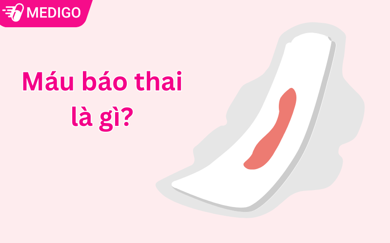 Mau-bao-thai-la-gi-Co-che-hinh-thanh-duoi-goc-nhin-sinh-hoc