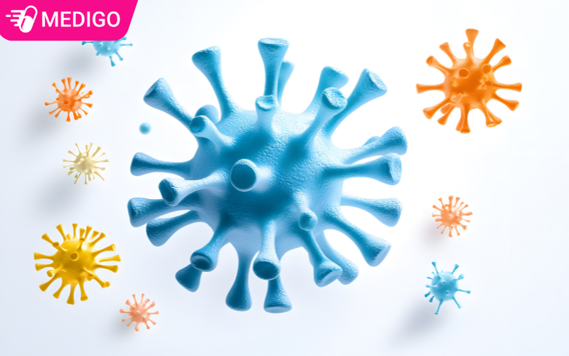 Cac-chung-virus-gay-benh-cum-voi-kha-nang-lay-lan-nhanh-chong-qua-duong-ho-hap