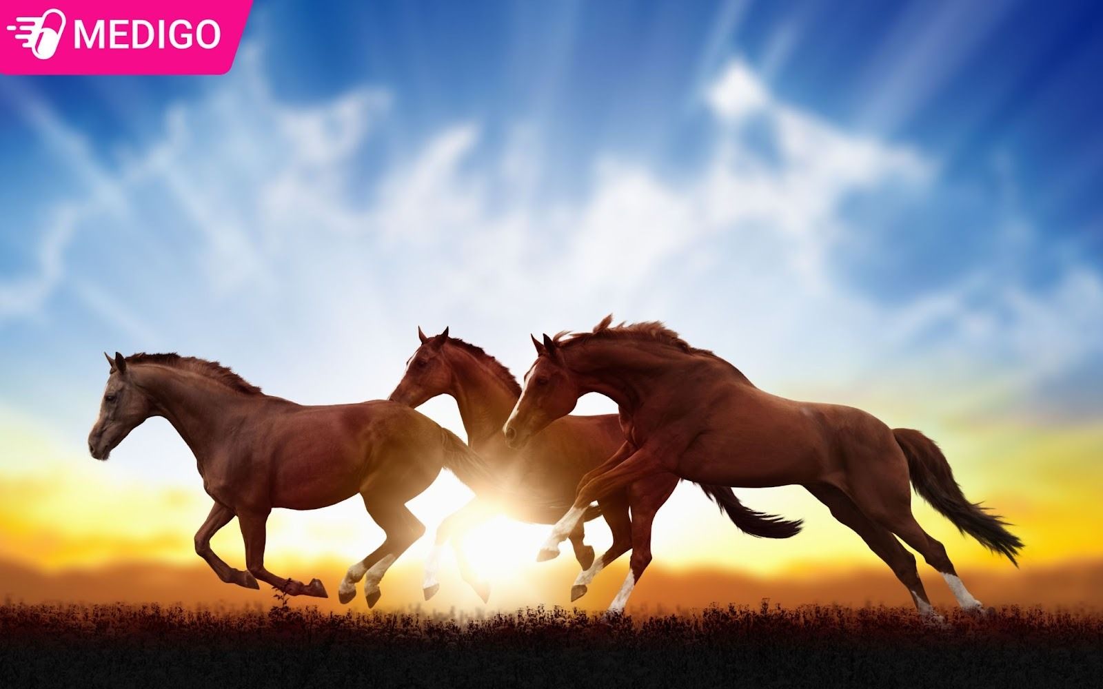 Nhung-net-tinh-cach-thuong-gap-o-nguoi-tuoi-Ngo