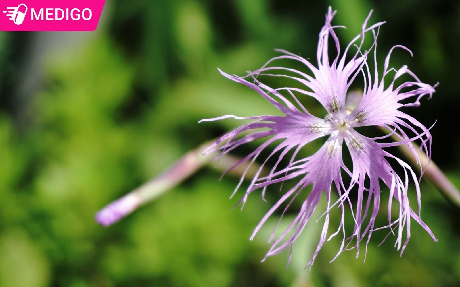 Lieu-dung-tham-khao-khi-su-dung-cu-mach