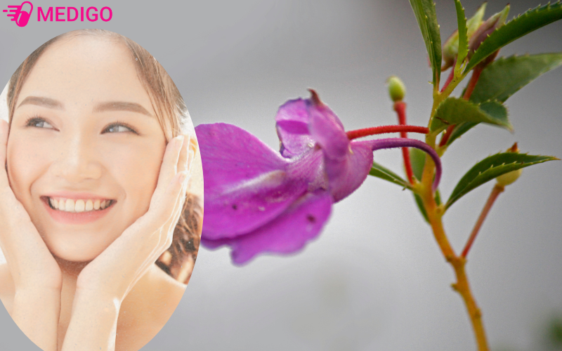 Bong-mong-tay-con-ho-tro-cac-van-de-ve-da