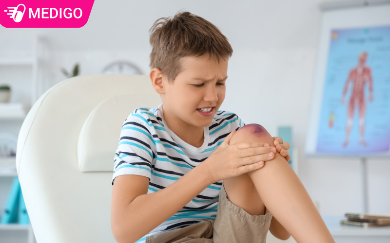 Cay-duoi-chuot-ho-tro-dieu-tri-bam-tim-dau-nhut