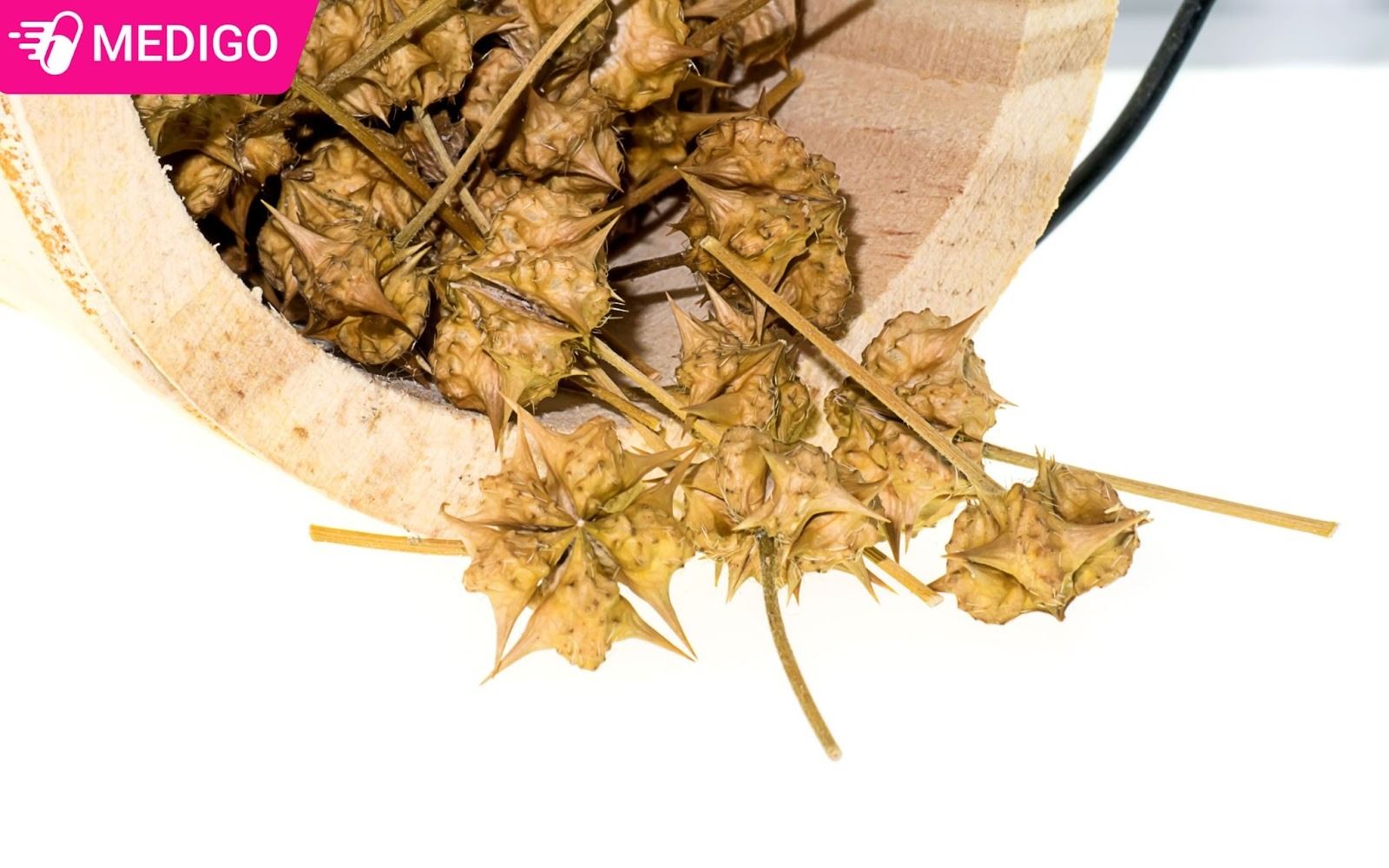 Bo-phan-duoc-su-dung-cua-bach-tat-le-la-qua-chin-da-phoi-hoac-say-kho-