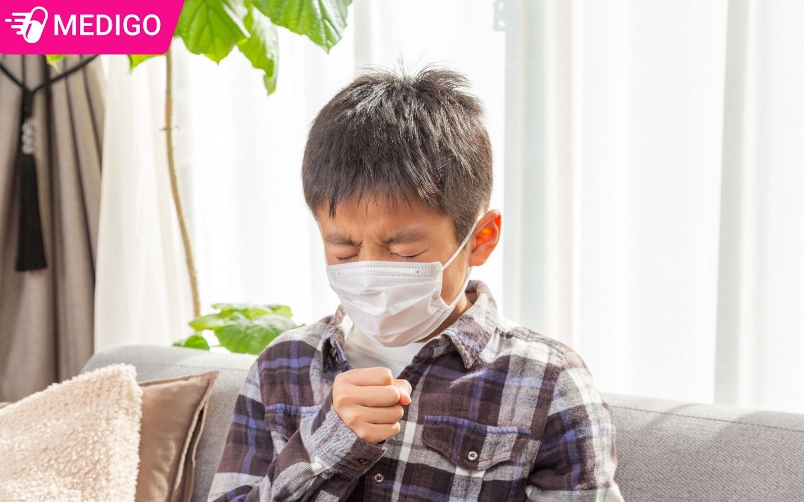 Dai-hoa-bup-giam-con-ho-tro-giam-ho-va-viem-hong-nhe