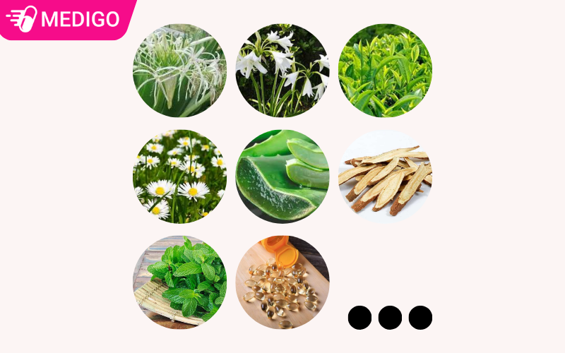 Cong-dung-than-ky-tu-bang-thanh-phan-thao-duoc