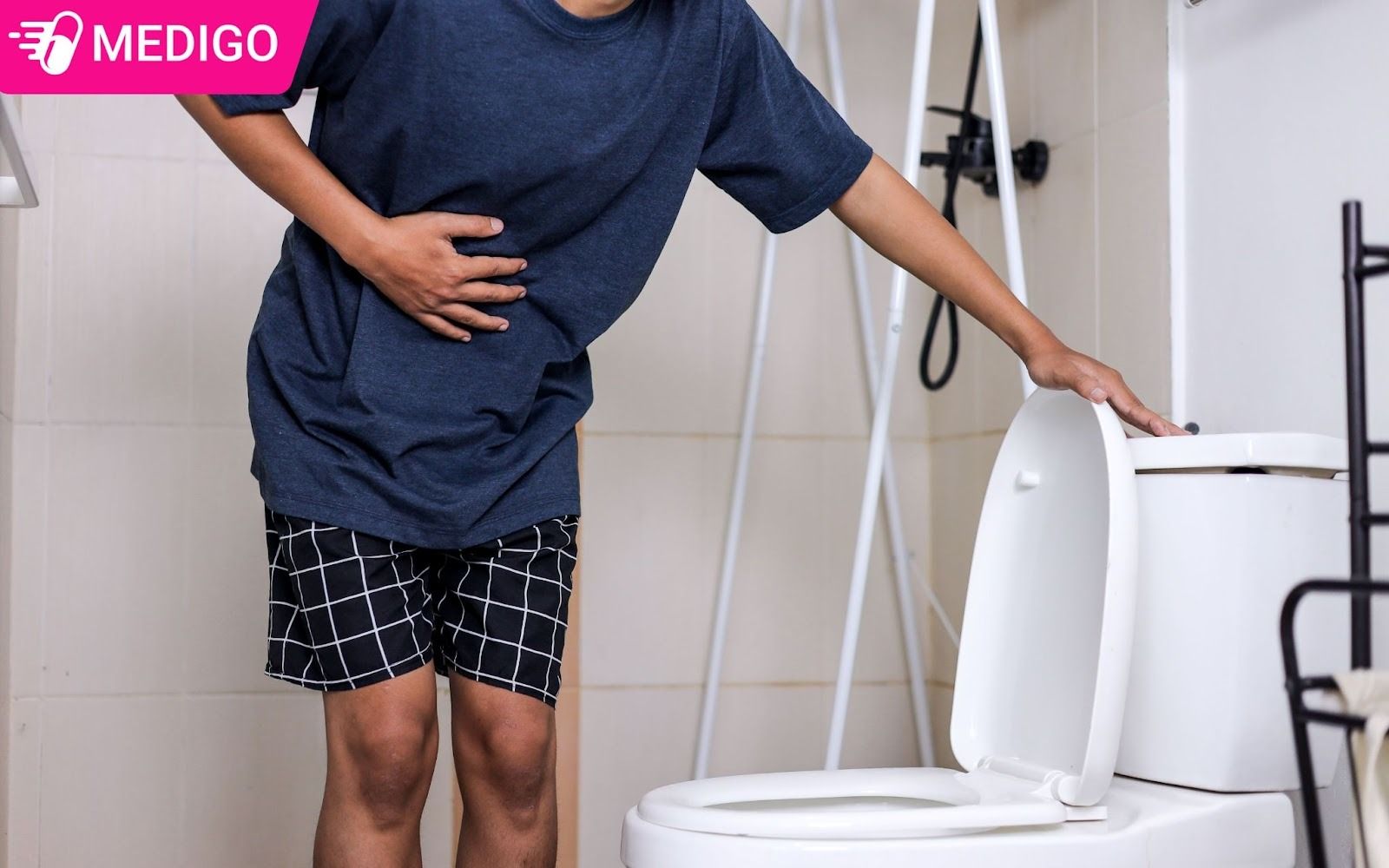 La-va-vo-cay-dung-thuong-duoc-dung-de-ho-tro-cac-van-de-lien-quan-den-tieu-hoa