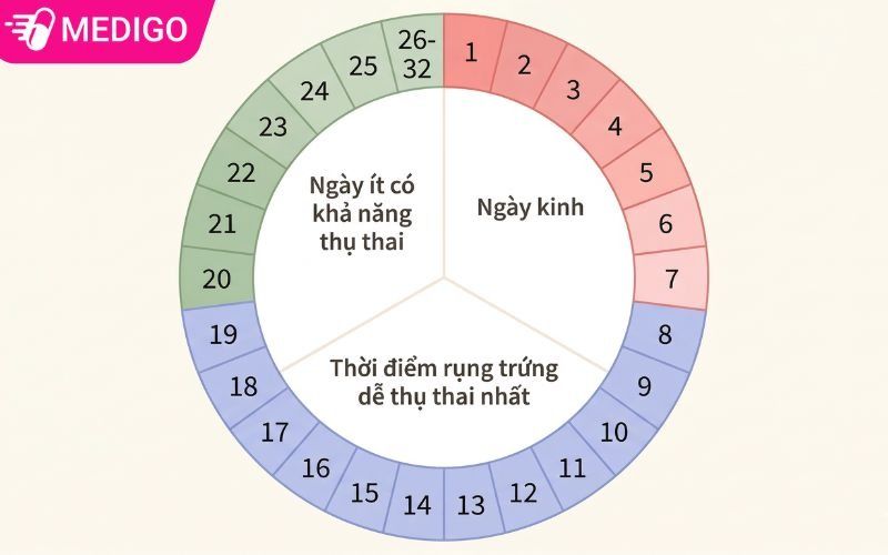 Chu-ky-rung-trung-tham-khao